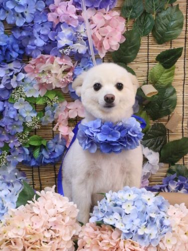 20250628しゅんくん